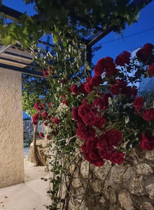 Villa Aiolia Kondoyenadha Екстер'єр фото